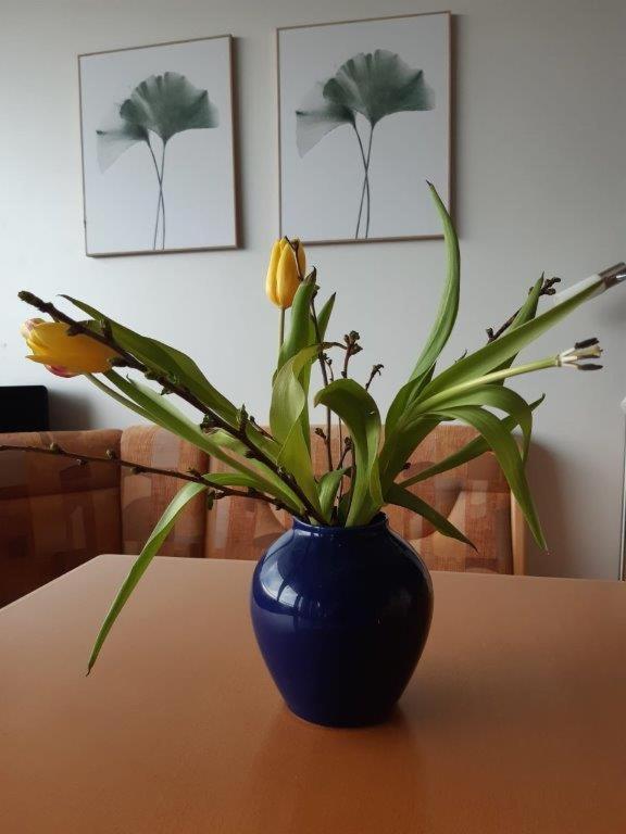Ferienzentrum Bodensee Oberteuringen Bagian luar foto