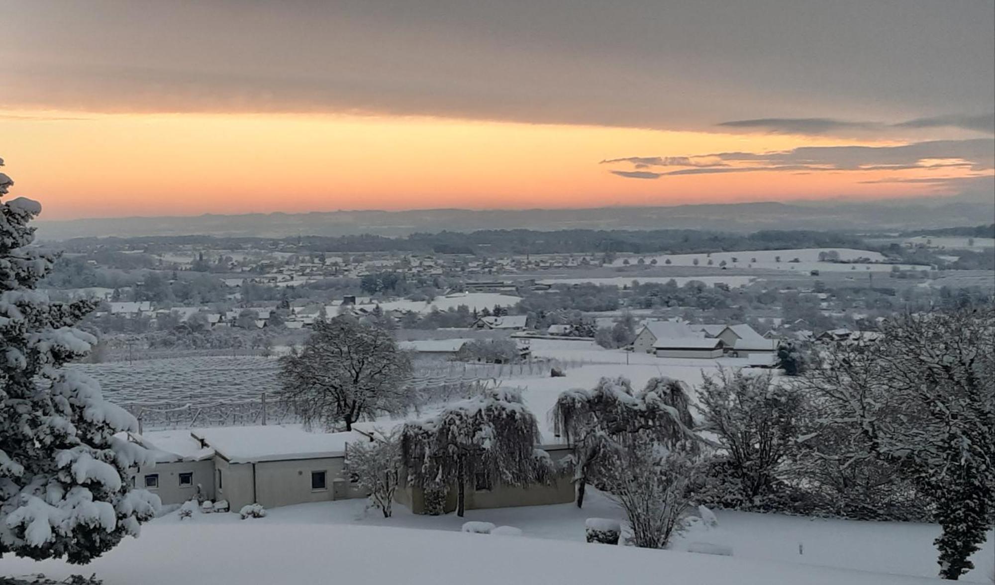 Ferienzentrum Bodensee Oberteuringen Bagian luar foto